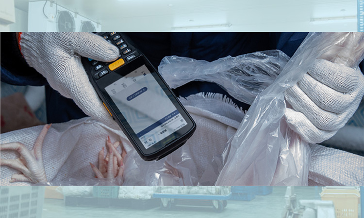직원이 RFID 추적을 위해 신선식품에 대한 데이터를 수집하고 있습니다.