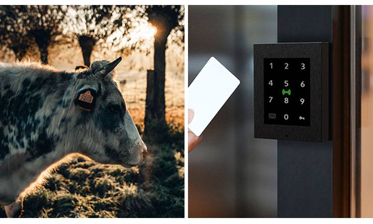 Low Frequency RFID as a  RFID tag type for livestock tracking and access control