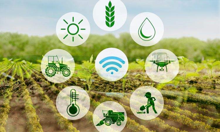 IoT in agriculture enables farmers to complete crop-friendly operations at the right time