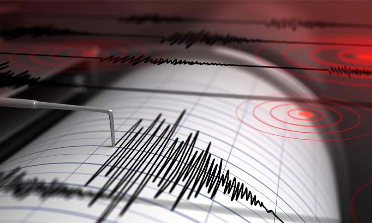 Sensor networks help predict earthquakes ahead of time