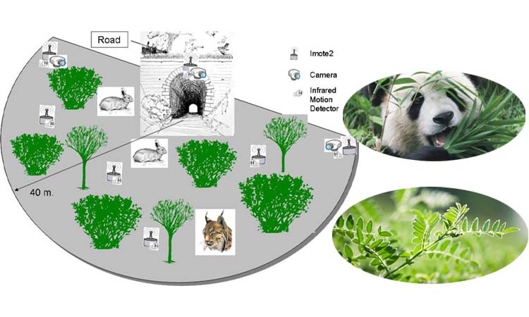 People collect information about animals and plants through wireless sensor networks