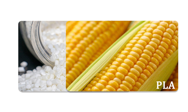 PLA cards using corn or grains are of great significance in biodegradable products