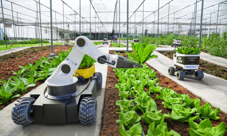 Humans can program robots to perform specified tasks, such as picking vegetables