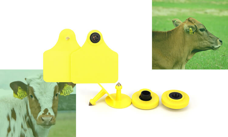 different types of rfid tags for cattle