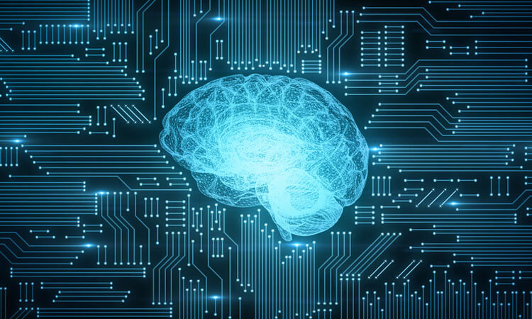 l'apprentissage automatique en robotique est similaire à la pensée du cerveau humain