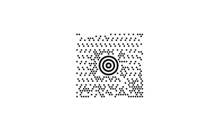 simbologia del codice a barre maxicode