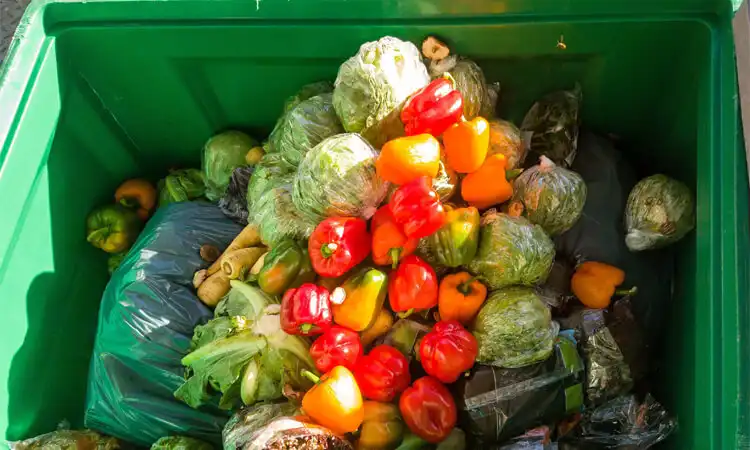 Пищевые отходы — это глобальная проблема, которая влечет за собой ошеломляющие экономические и экологические издержки.